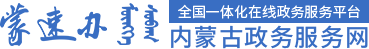 政務服務網